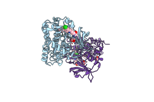5CTP image