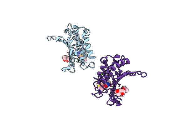 5CTU image