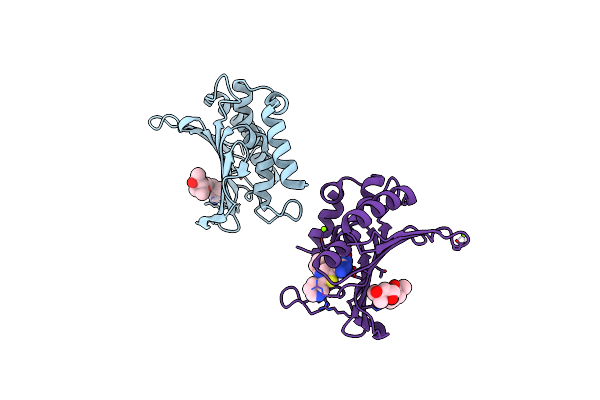 5CTX image