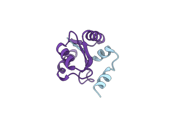 5CUL image