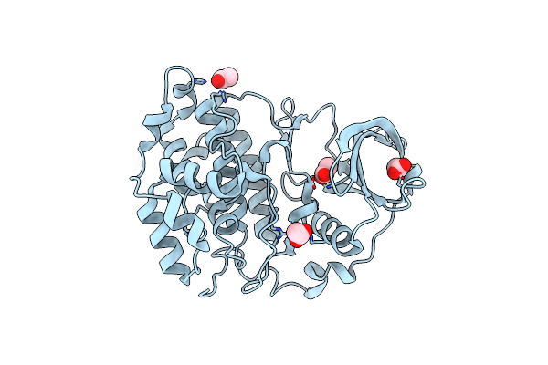 5CVG image