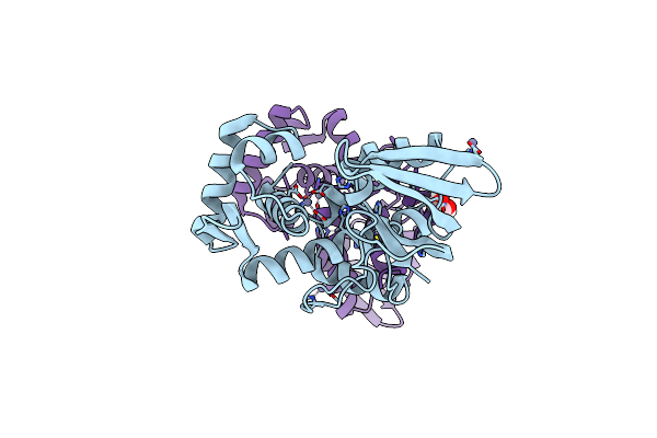 5CVI image