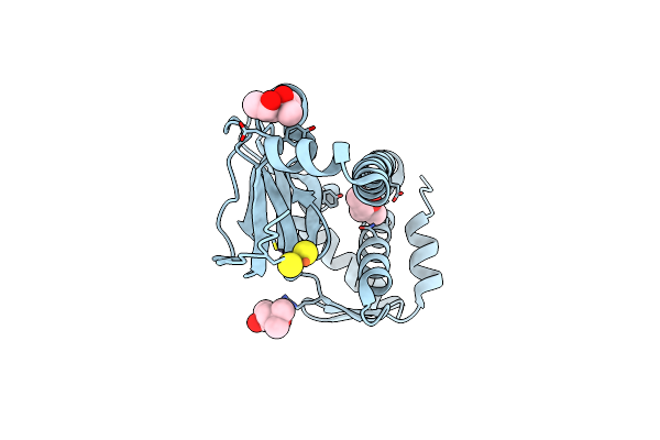 5CVR image