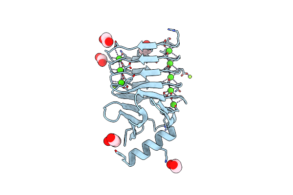 5CVW image