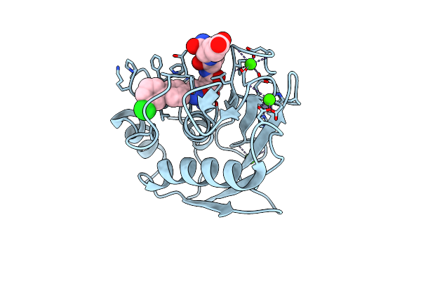 5CXA image