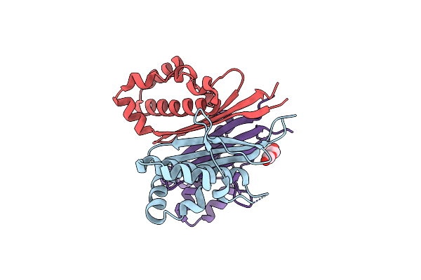 5CXD image