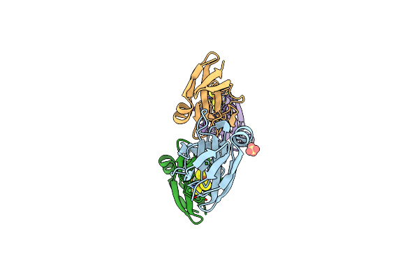 5CXM image