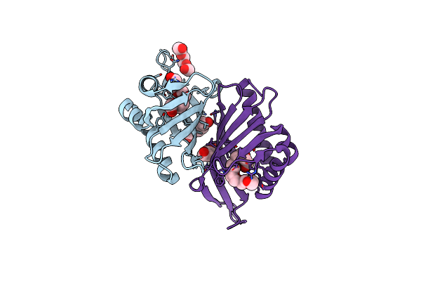 5CXO image