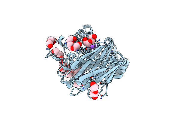 5CXP image