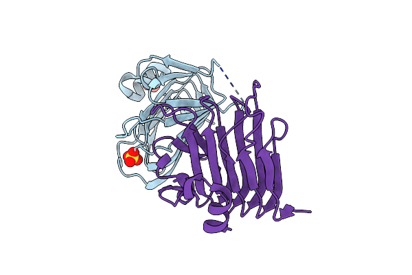 5CYA image