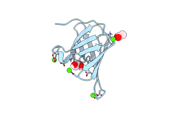 5CYB image