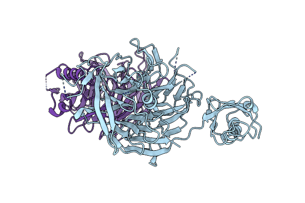 5CYK image