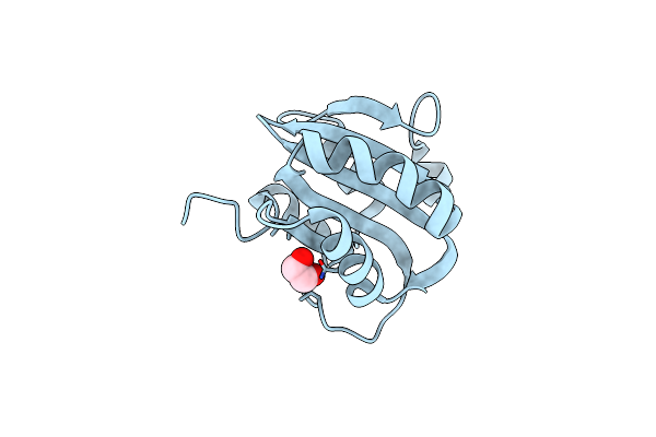 5CYN image