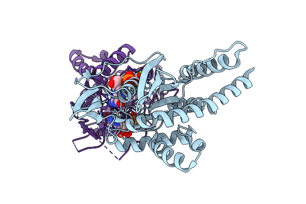 5CYO image
