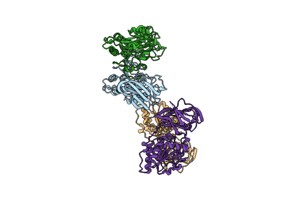 5CYY image