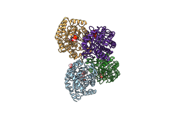 5CZ0 image