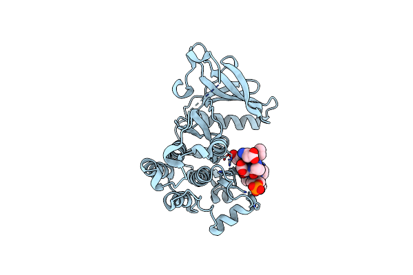5CZH image