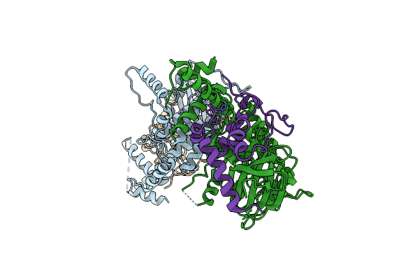5CZO image