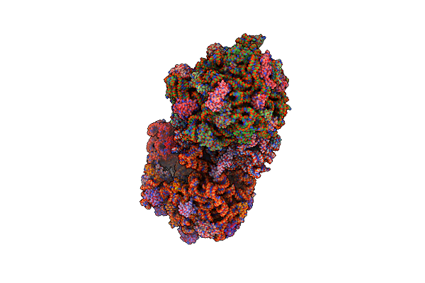 5CZP image