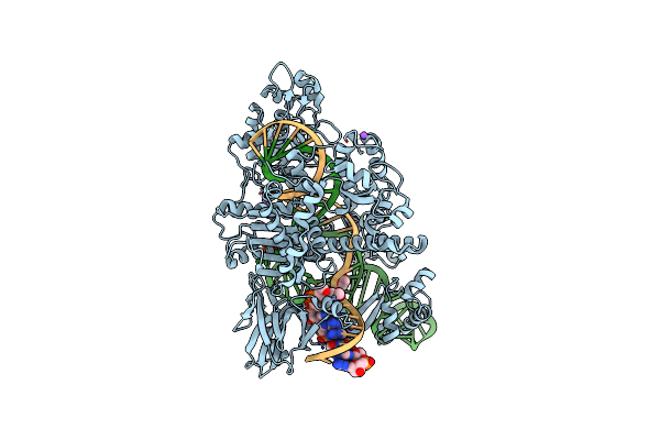 5CZZ image