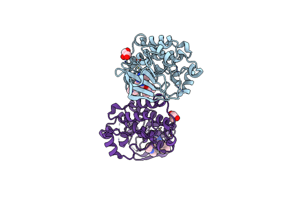 5D11 image