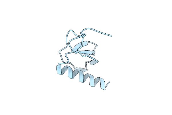 5D14 image