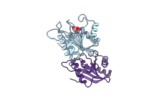 5D16 image