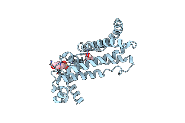 5D18 image