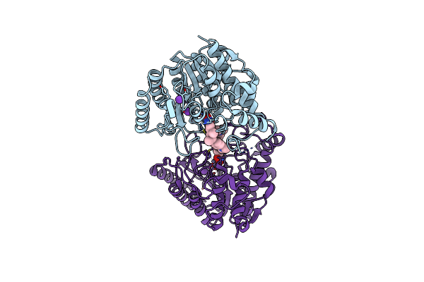 5D1B image
