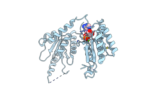 5D1F image