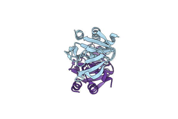 5D1I image
