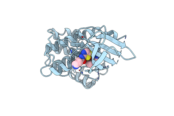5D1J image