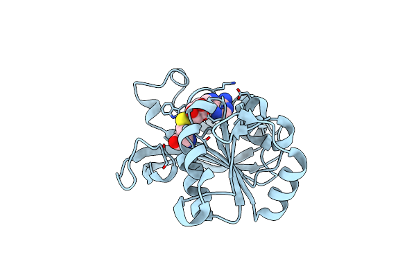 5D1N image