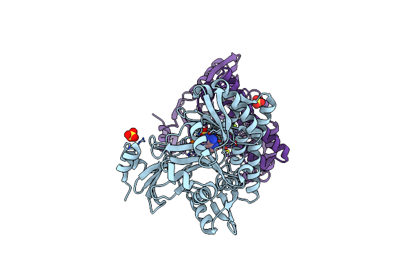 5D1O image