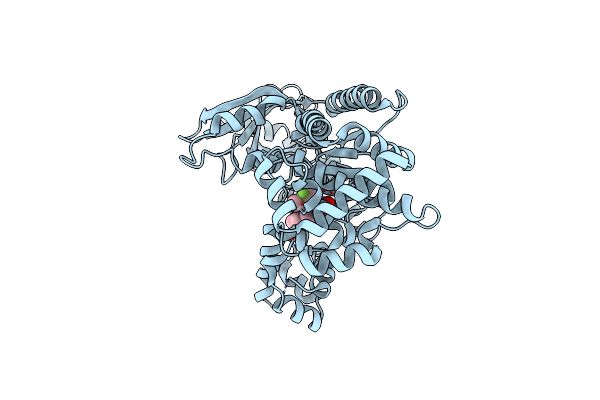 5D1T image