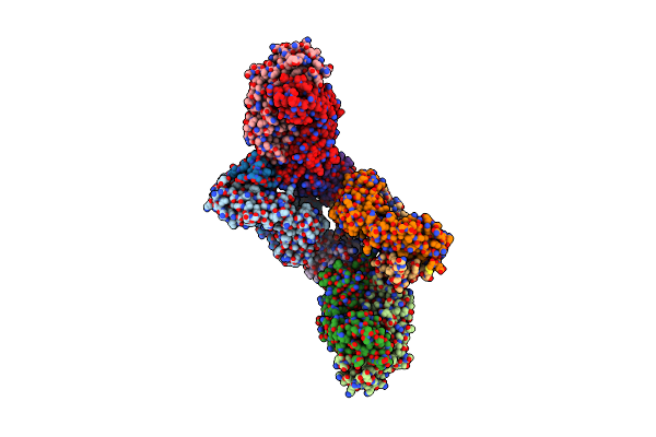 5D1Z image