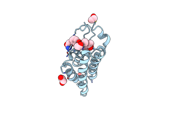 5D24 image