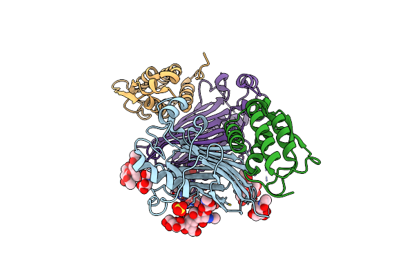 5D28 image