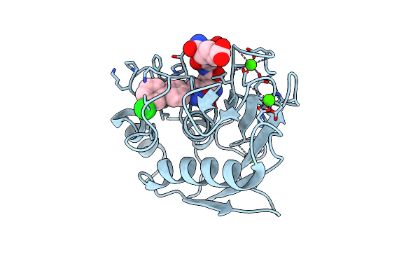 5D2B image
