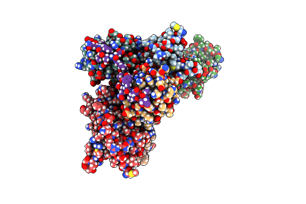 5D2M image
