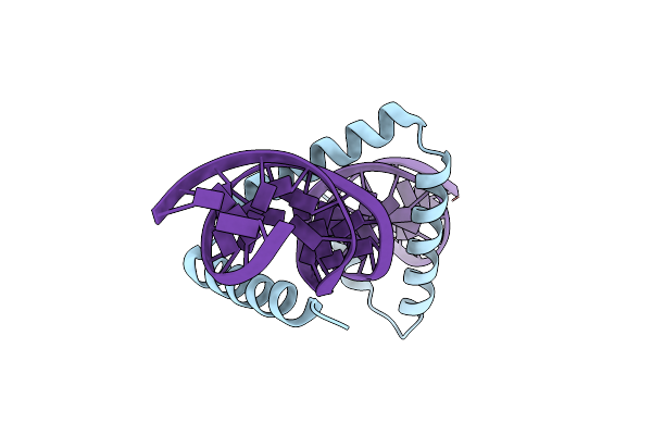 5D2Q image