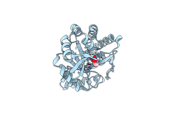 5D2T image