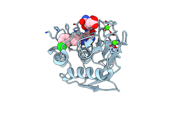 5D3C image