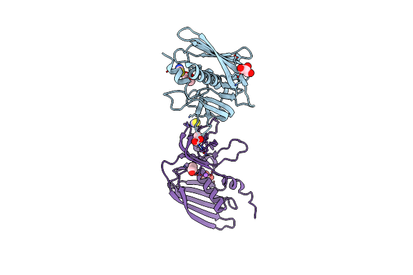 5D3D image
