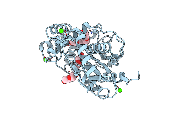 5D3K image