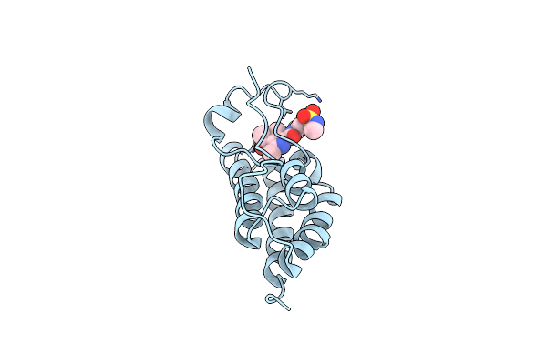5D3N image