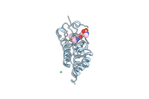 5D3P image