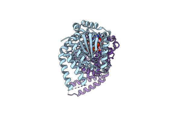 5D3Q image