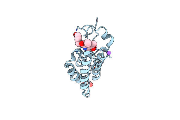 5D3T image