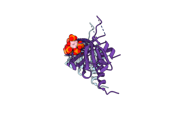 5D3Y image